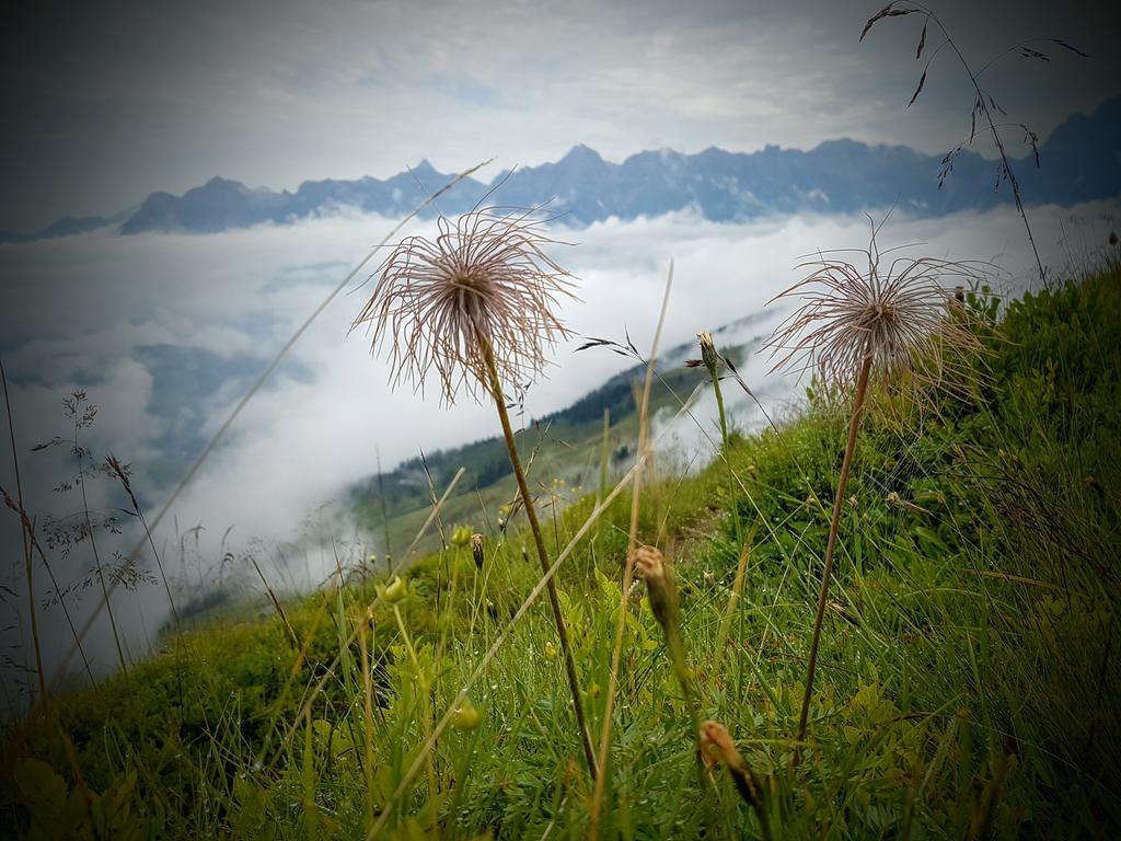 Apartamento Biobauernhof Stegerbauer Maria Alm am Steinernen Meer Exterior foto